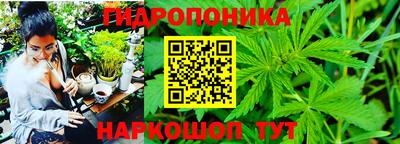 дживик Дубна